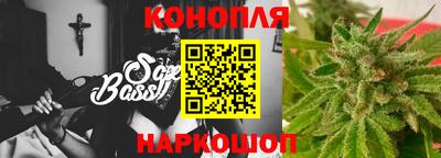 гашик Будённовск