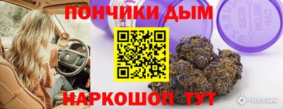 гашик Будённовск