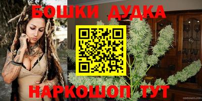 гашик Будённовск