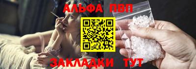 гашик Будённовск