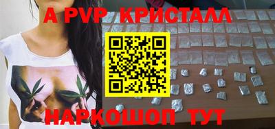 гашик Будённовск
