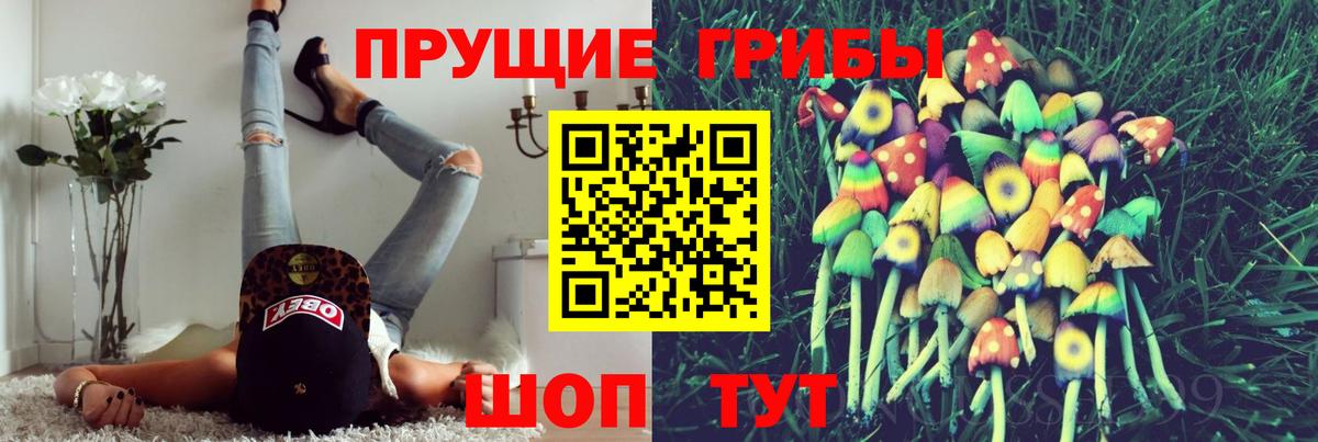 Псилоцибиновые грибы Psilocybe Реж