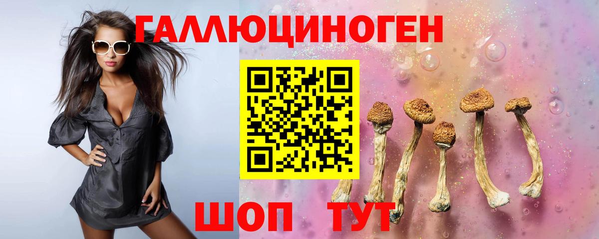 Реж  Галлюциногенные грибы Psilocybe  Вход с VPN 
